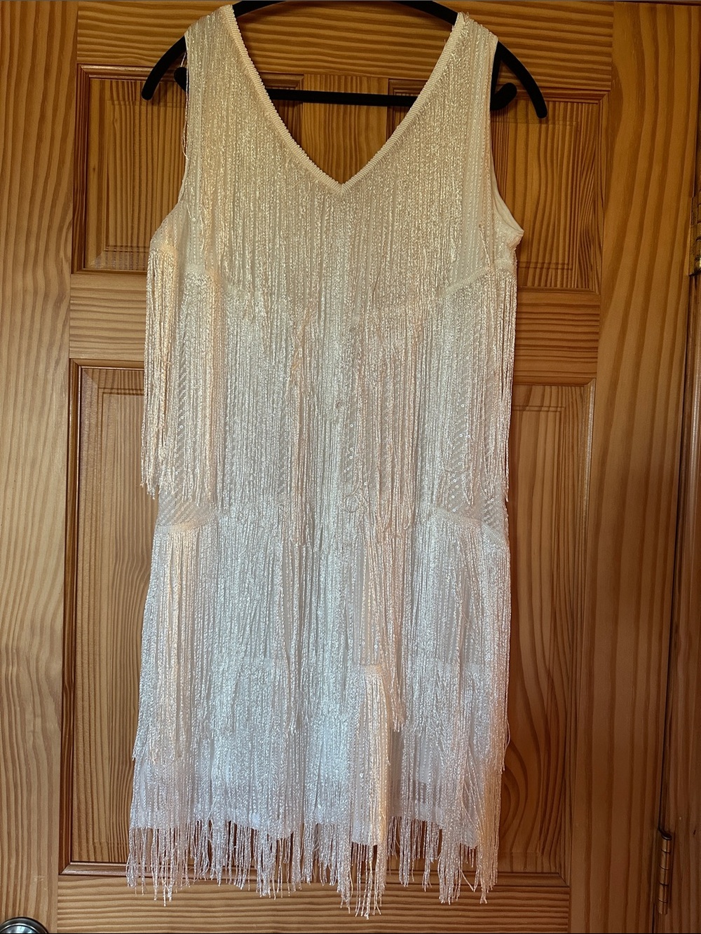 Ivory Fringed V-Neck Party Dress size XL has fringe and sequin